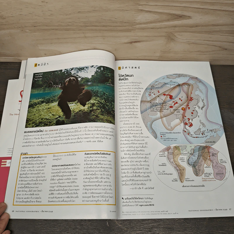 National Geographic มี.ค.2549 รูปที่ 9