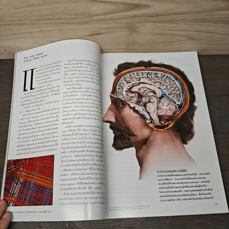 National Geographic ฉบับที่ 151 ก.พ.2557 รูปที่ 9