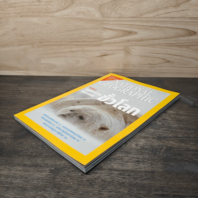 National Geographic ก.พ.2547 หมีขาว พยัคฆ์ร้ายแห่งแดนขั้วโลก รูปที่ 4