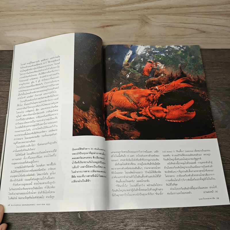 National Geographic ฉบับที่ 126 ม.ค. 2555 ผจญภัยใต้หุบผาเร้นลับ รูปที่ 9