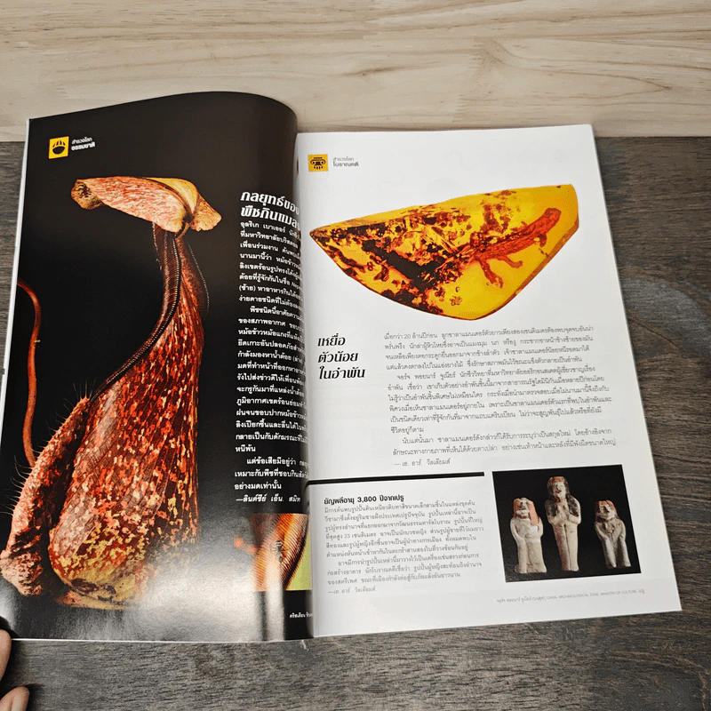 National Geographic ฉบับที่ 177 เม.ย.2559 รูปที่ 9