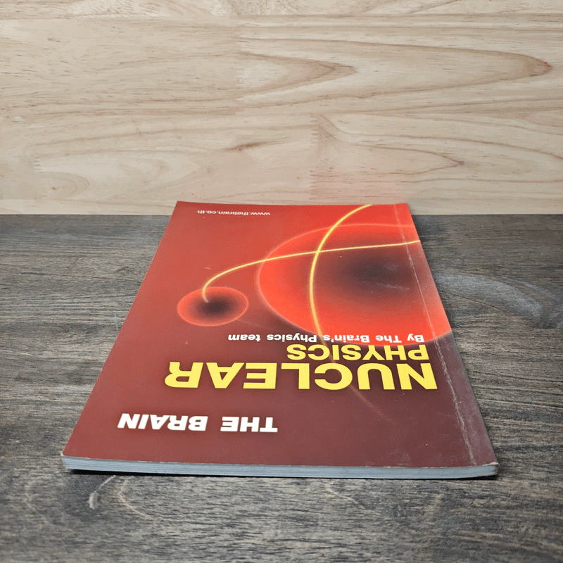 The Brain Nuclear Physics - The Brain's Physics team รูปที่ 4