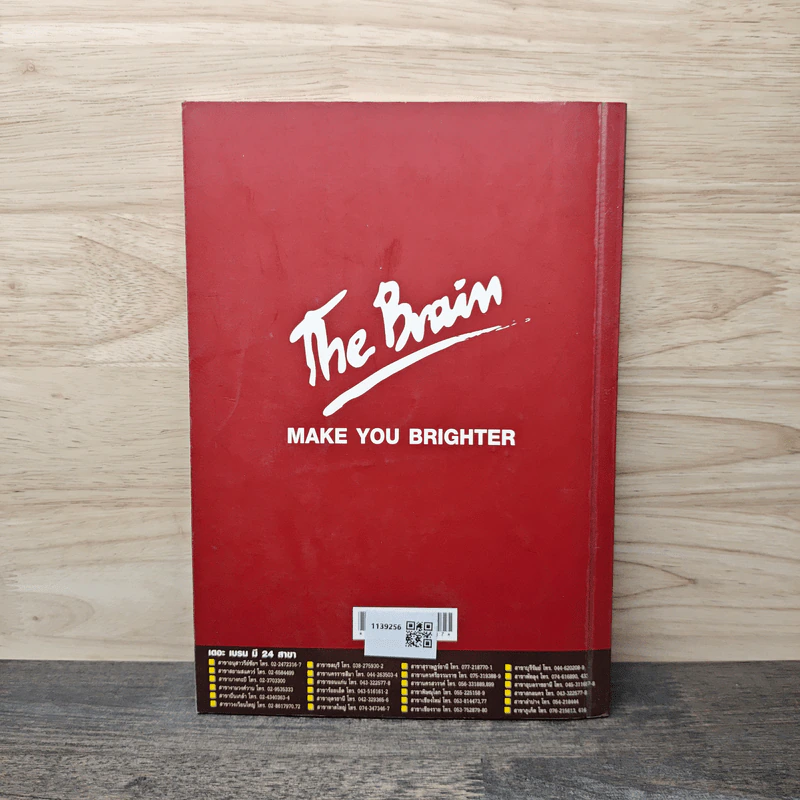 The Brain Physics Electromagnetics - The Brain's Physics team รูปที่ 5