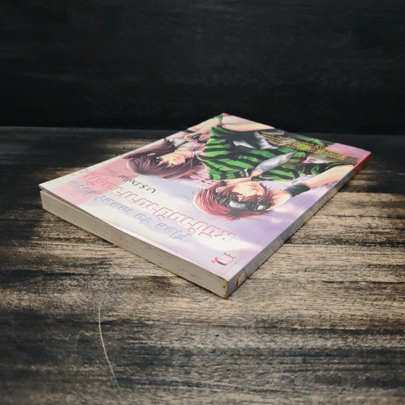 Flee to meet love หนีข้ามฟ้ามาเจอรัก - U.S.Dollar รูปที่ 5