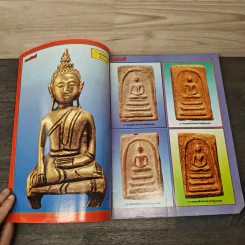 มหาโพธิ์ ฉบับที่ 265 รูปที่ 6