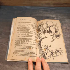Tales of Goha - Leslie Caplan รูปที่ 8