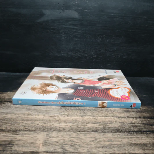 Strawberry Boy หนุ่มซิ่งหนุ่มใสหัวใจวุ่นวาย เล่ม 1 - หนุ่มกรุงโซล รูปที่ 3