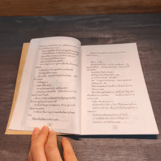 สูตรสำเร็จความเครียด ฉบับ สวัสดีประเทศไทย - ซูโม่ตู้ รูปที่ 8