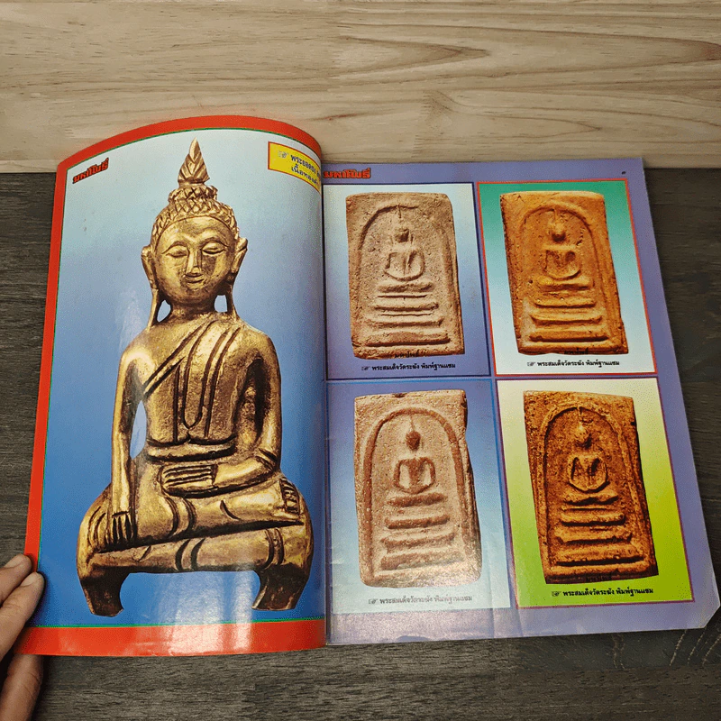มหาโพธิ์ ฉบับที่ 265 รูปที่ 6