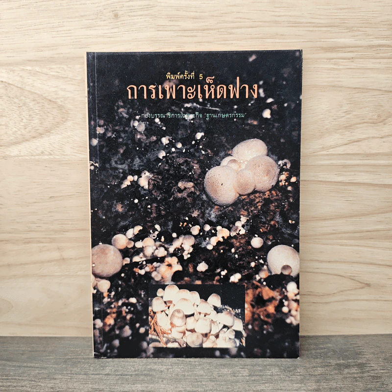 การเพาะเห็ดฟาง - กองบรรณาธิการเฉพาะกิจ ฐานเกษตรกรรม รูปที่ 1