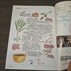 สารคดี ฉบับที่ 327 พ.ค.2555 กาแฟสมัยใหม่ รสนิยมร่วมสมัย รูปที่ 10