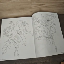 วาดกุหลาบด้วยสีน้ำ Shabha Shine's Sketchbook - ชบาฉายสตูดิโอ รูปที่ 10