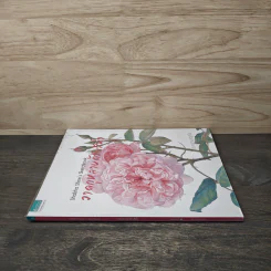 วาดกุหลาบด้วยสีน้ำ Shabha Shine's Sketchbook - ชบาฉายสตูดิโอ รูปที่ 2