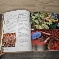 The World Atlas Of Coffee สมุดแผนที่โลกกาแฟ - James Hoffmann รูปที่ 9