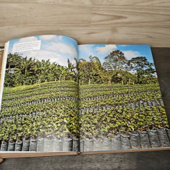 The World Atlas Of Coffee สมุดแผนที่โลกกาแฟ - James Hoffmann รูปที่ 8