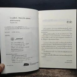 เมื่อรักทอประกาย - ปัญญ์ปรียา รูปที่ 6