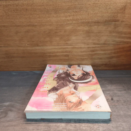 Thief Lady ปฏิบัติการปล้นหัวใจนายจอมโฉด - Hideko_Sunshine รูปที่ 4