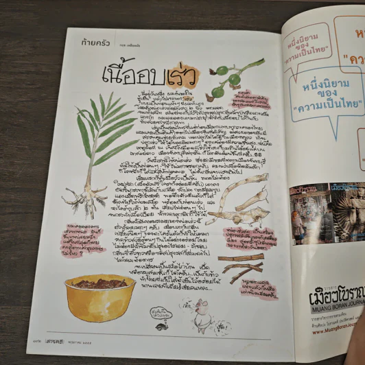 สารคดี ฉบับที่ 327 พ.ค.2555 กาแฟสมัยใหม่ รสนิยมร่วมสมัย รูปที่ 10
