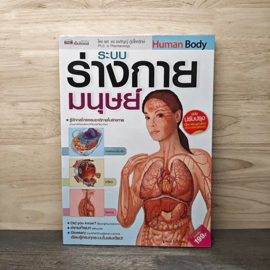 ระบบร่างกายมนุษย์ Human Body - ดร.อรัญญ์ ภูริทรรศนีย์ รูปที่ 1