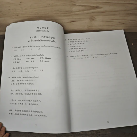 เรียนภาษาจีนให้สนุก คู่มือครู เล่ม 8 - วรรณี ศรีวรรักษ์ รูปที่ 9