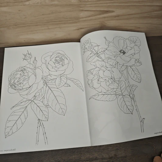 วาดกุหลาบด้วยสีน้ำ Shabha Shine's Sketchbook - ชบาฉายสตูดิโอ รูปที่ 10