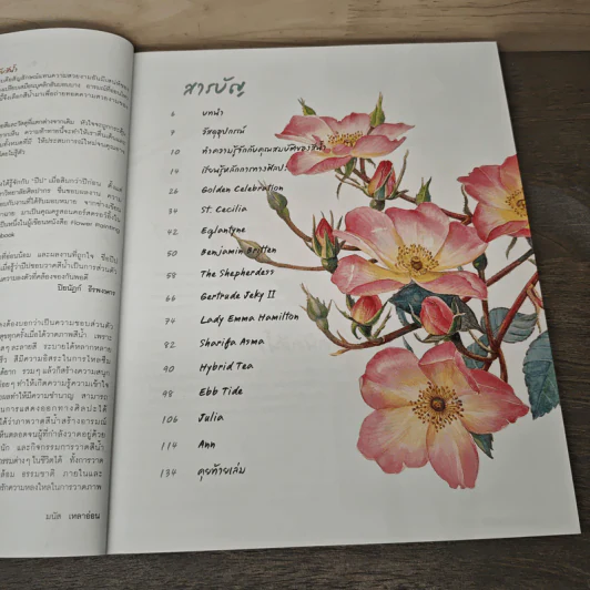 วาดกุหลาบด้วยสีน้ำ Shabha Shine's Sketchbook - ชบาฉายสตูดิโอ รูปที่ 8