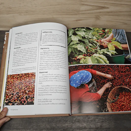 The World Atlas Of Coffee สมุดแผนที่โลกกาแฟ - James Hoffmann รูปที่ 9