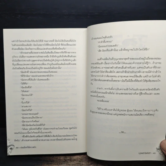 ปลดล็อกให้ความรัก - Loverouter รูปที่ 8