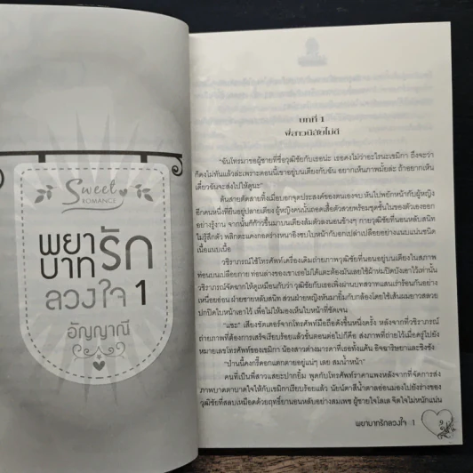 พยาบาทรักลวงใจ เล่ม 1 - อัญญาณี รูปที่ 7