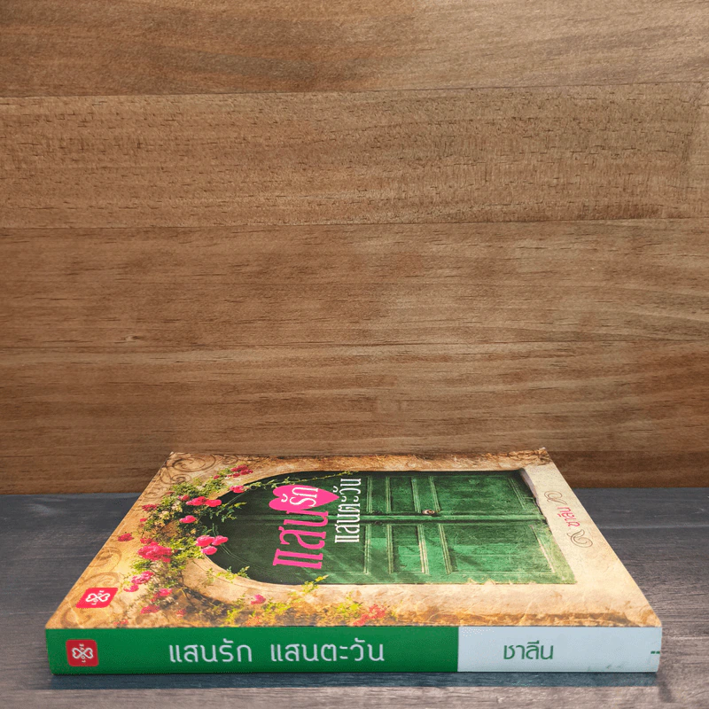 แสนรักแสนตะวัน - ชาลีน รูปที่ 2