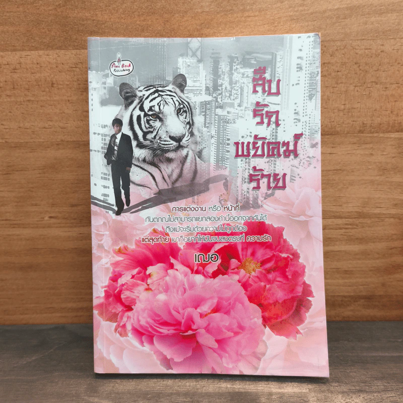 สืบรักพยัคฆ์ร้าย - เฌอ รูปที่ 1