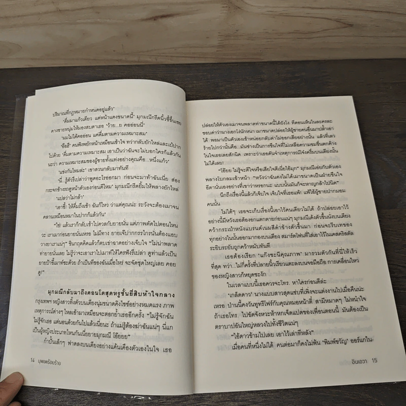 บุพเพร้อยร้าย - อินเอวา รูปที่ 7