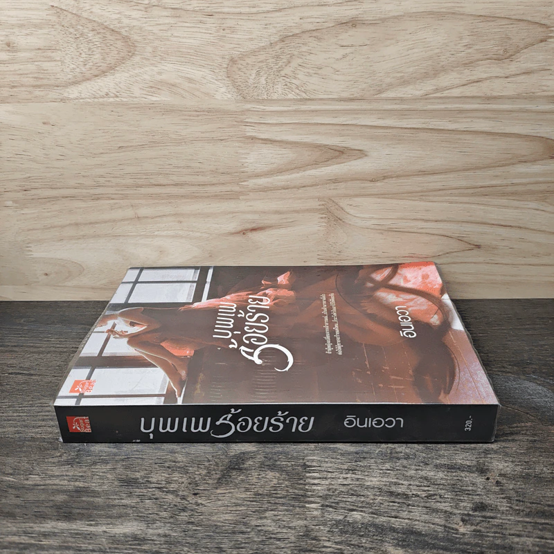บุพเพร้อยร้าย - อินเอวา รูปที่ 2