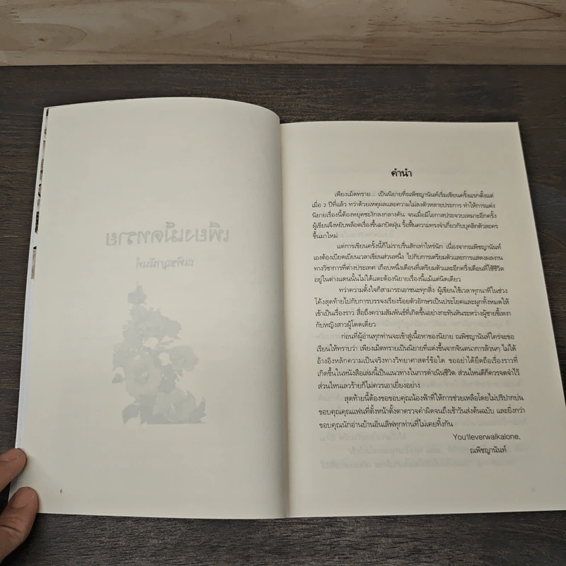 เพียงเม็ดทราย - ณพิชญานันท์ รูปที่ 7