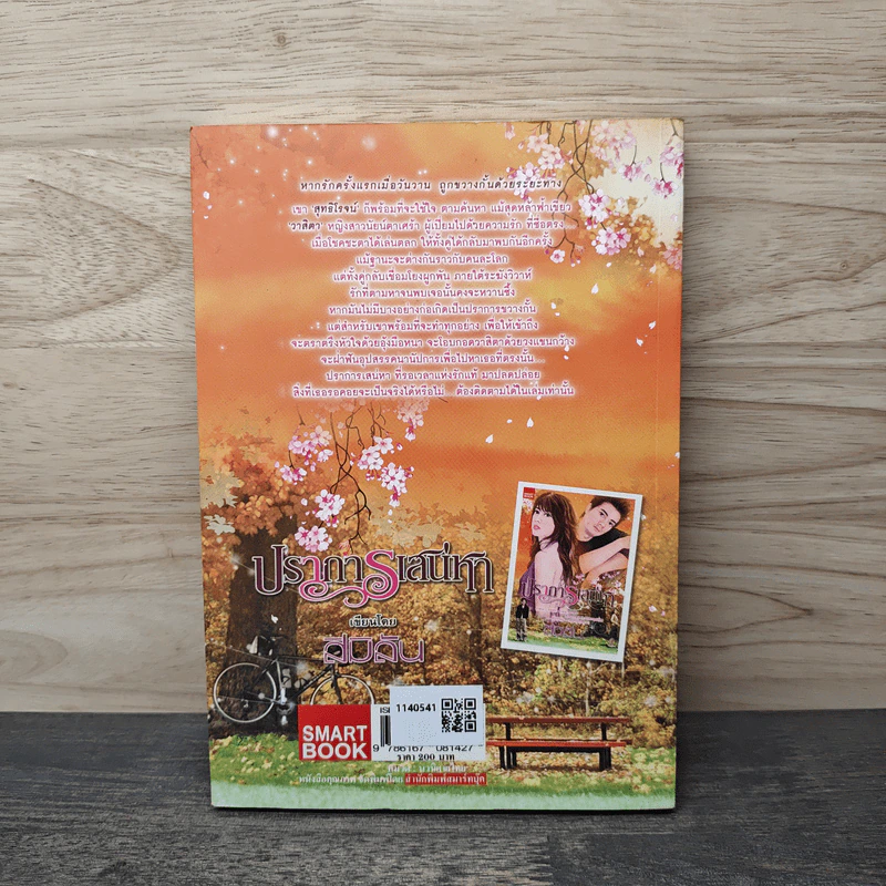 ปราการเสน่หา - สีมิลัน รูปที่ 5