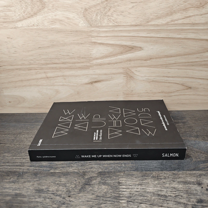Wake Me Up When Now Ends ลืมตาในอนาตต - ทีปกร วุฒิพิทยามงคล รูปที่ 2