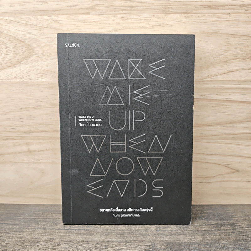 Wake Me Up When Now Ends ลืมตาในอนาตต - ทีปกร วุฒิพิทยามงคล รูปที่ 1