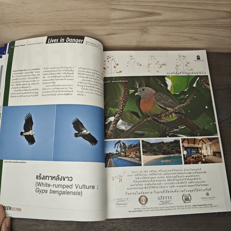 Feature Magazine สารคดี ฉบับที่ 369 พ.ย.2558 รูปที่ 7