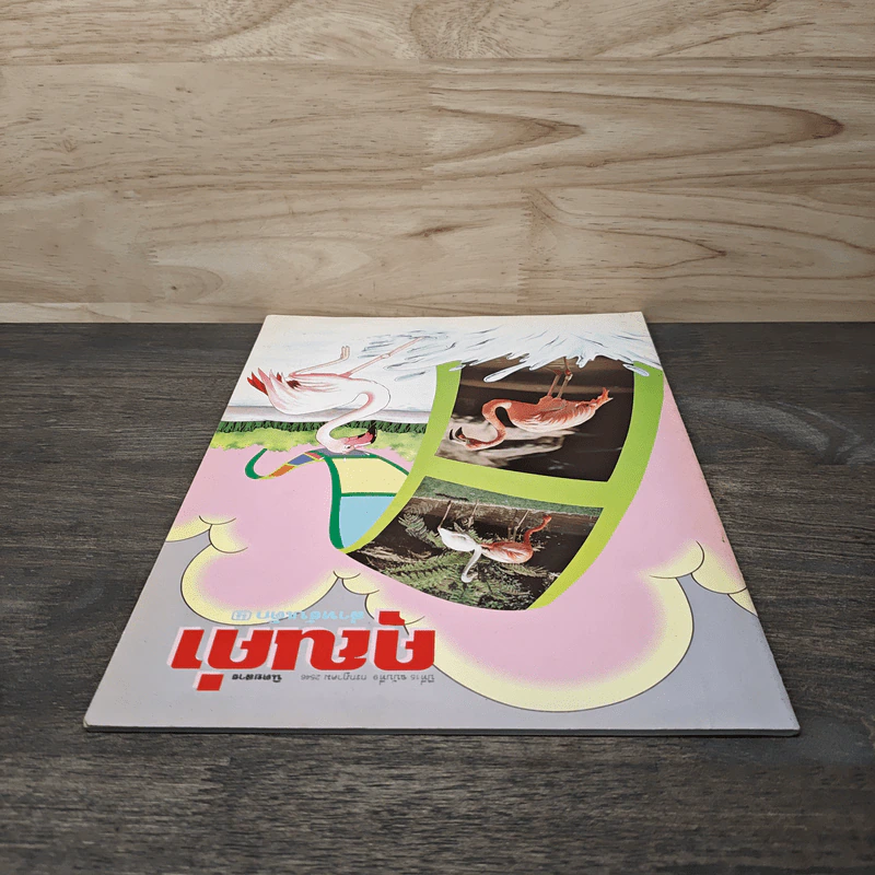 นิตยสารคุณค่าสำหรับเด็ก ปีที่ 15 ฉบับที่ 9 ก.ค.2546 รูปที่ 4