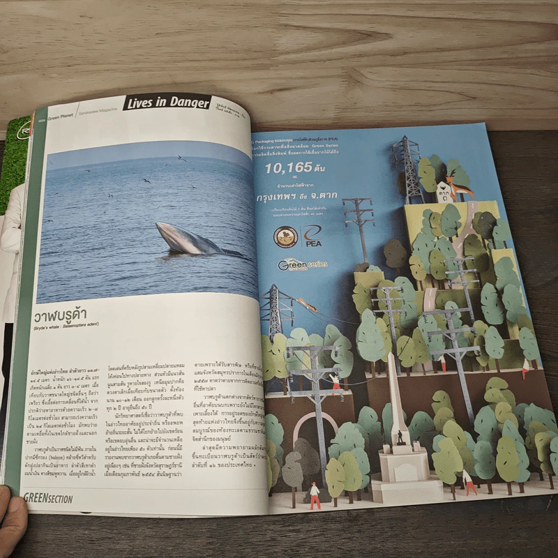 Feature Magazine สารคดี Taxi Driver ชีวิตหลากสีสัน รูปที่ 8