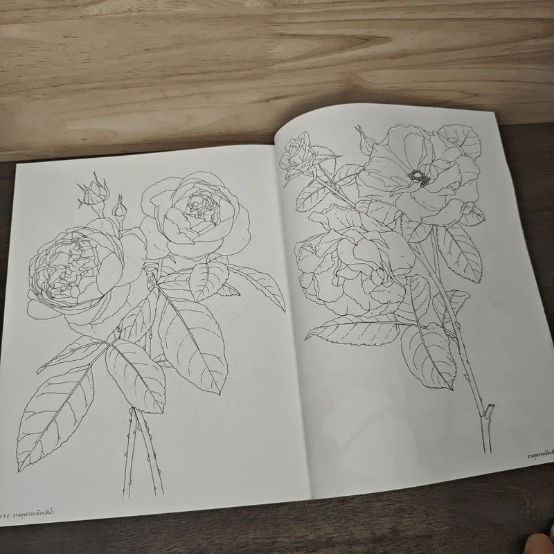 วาดกุหลาบด้วยสีน้ำ Shabha Shine's Sketchbook - ชบาฉายสตูดิโอ รูปที่ 10