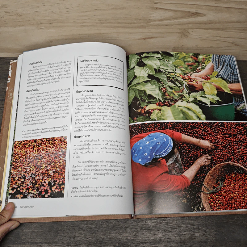 The World Atlas Of Coffee สมุดแผนที่โลกกาแฟ - James Hoffmann รูปที่ 9