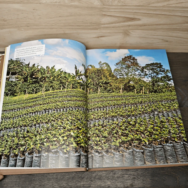 The World Atlas Of Coffee สมุดแผนที่โลกกาแฟ - James Hoffmann รูปที่ 8