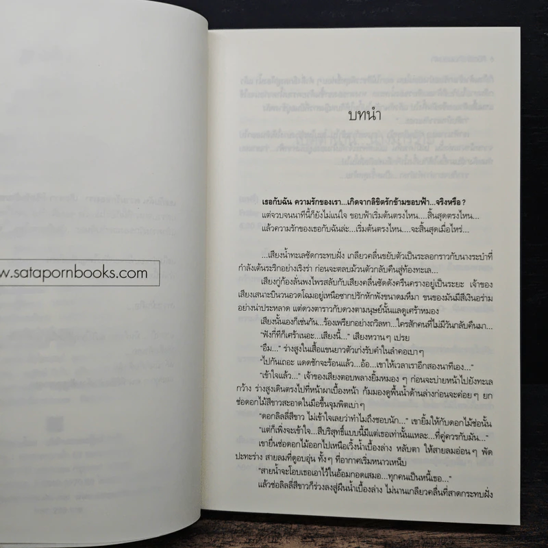 ลิขิตรักข้ามขอบฟ้า - My Lady Pirnz รูปที่ 7