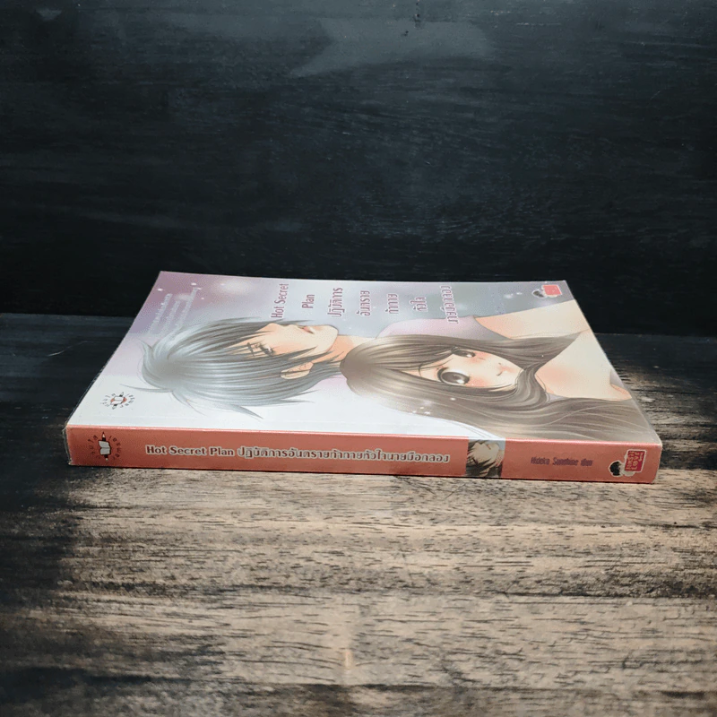 Hot Secret Plan ปฏิบัติการอันตรายท้าทายหัวใจนายมือกลอง - Hideko_Sunshine รูปที่ 3