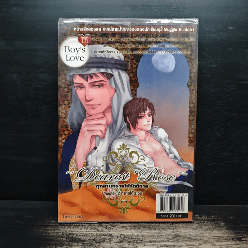 กุหลาบทรายใต้รัตติกาล Chapter 1 หัวใจทราย - muggle รูปที่ 2