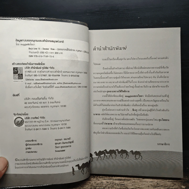 กุหลาบทรายใต้รัตติกาล Chapter 1 หัวใจทราย - muggle รูปที่ 6