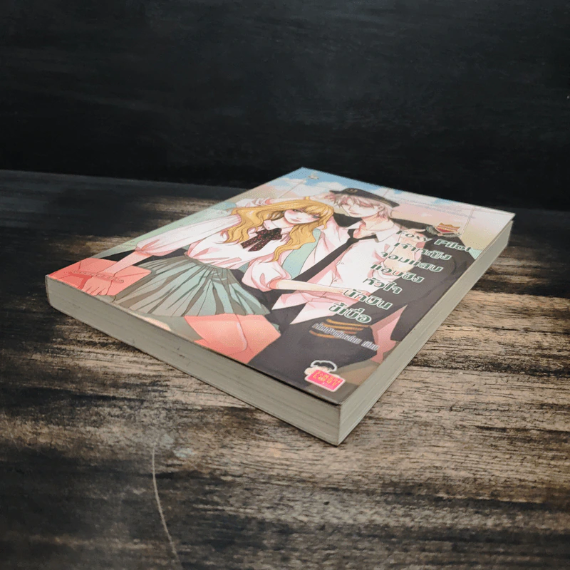 Foxy Pilot เจ้าหญิงจอมแสบแอบชิงหัวใจนักบินขี้เบื่อ - เจ้าหญิงผู้เลอโฉม รูปที่ 4