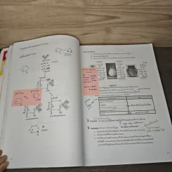Basic Biology (OPD) - นพ.พิชญ์ สันติจิตรุ่งเรือง รูปที่ 9