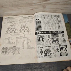 方眼編とパイナップル模様の美しいかぎ針編】ベストとセーター（昭和５０年） รูปที่ 8
